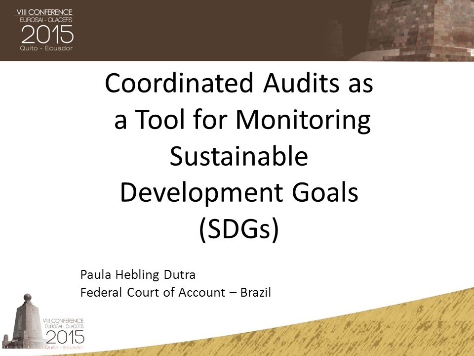 Coordinated Audits as a Tool for Monitoring Sustainable Development Goals (SDGs)