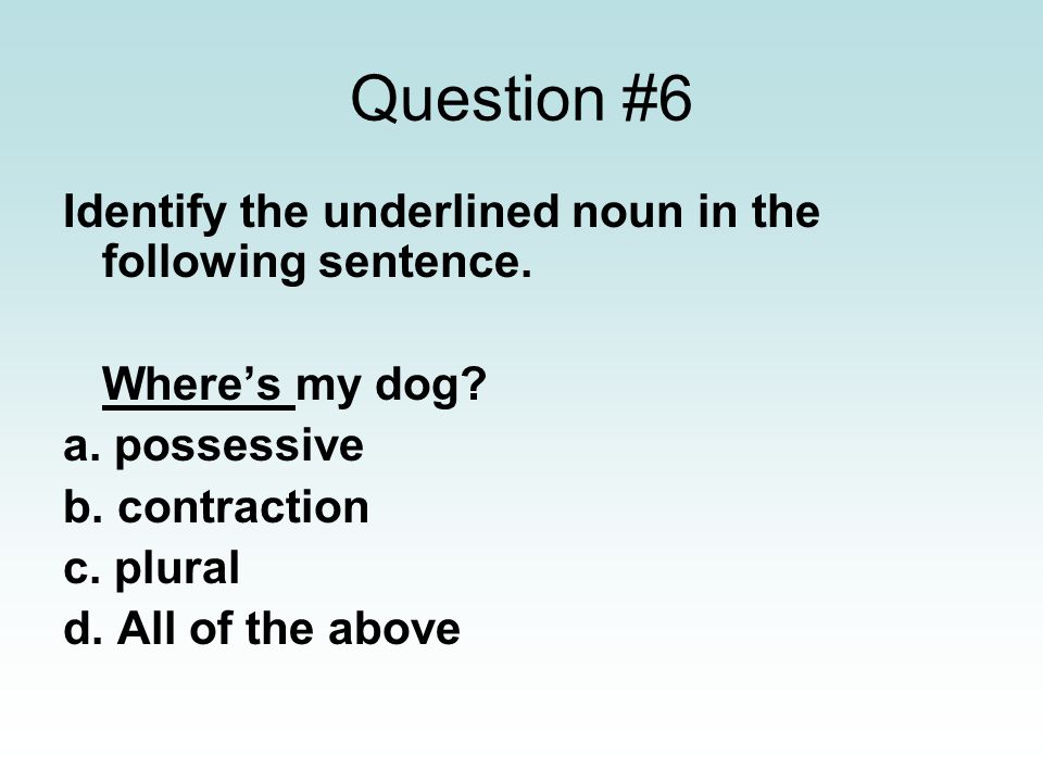 Question #6 Identify the underlined noun in the following sentence.