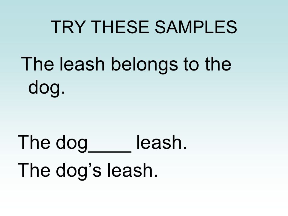 The dog____ leash. The dog’s leash. TRY THESE SAMPLES