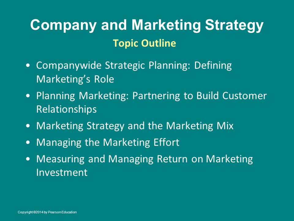 Company and Marketing Strategy