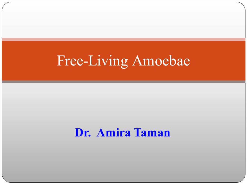 Free-Living Amoebae Dr. Amira Taman