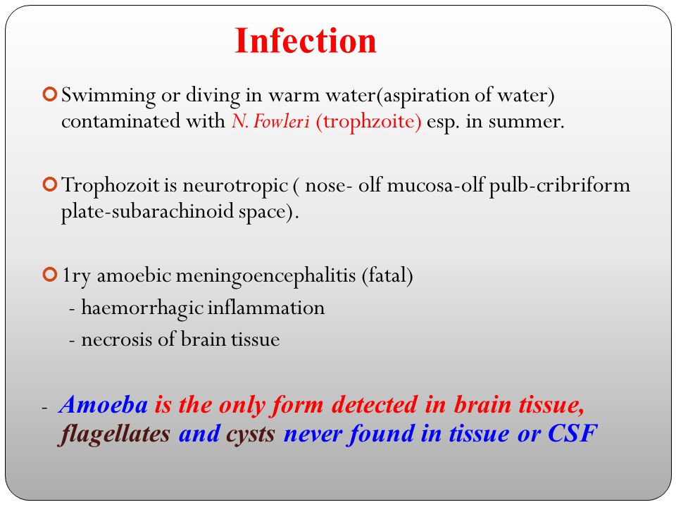 Infection Swimming or diving in warm water(aspiration of water) contaminated with N. Fowleri (trophzoite) esp. in summer.