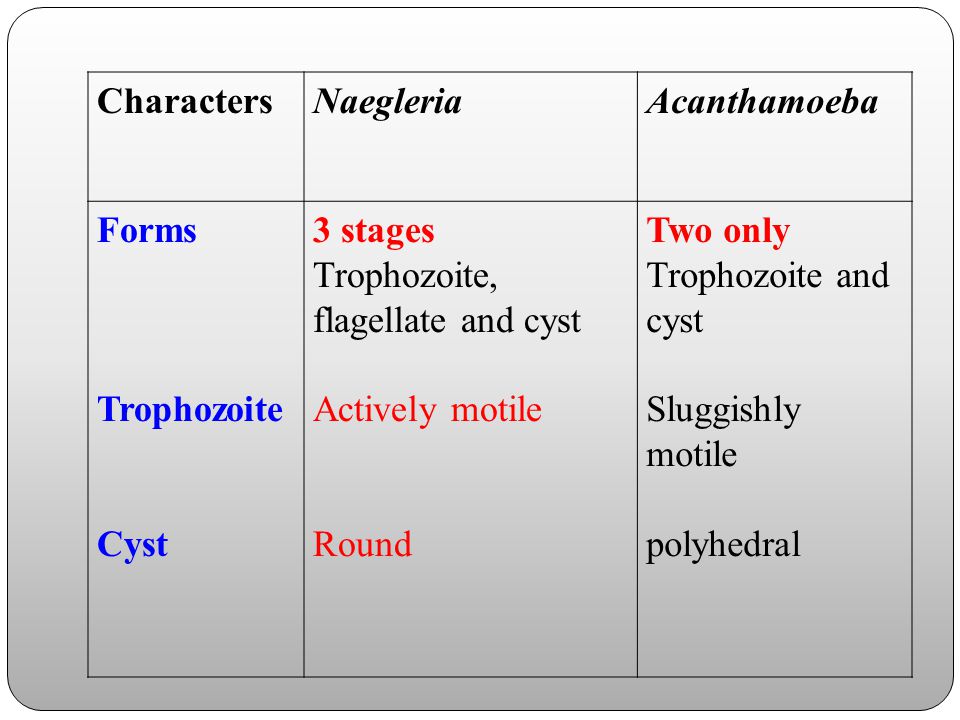 Characters Naegleria. Acanthamoeba. Forms. Trophozoite. Cyst. 3 stages. Trophozoite, flagellate and cyst.