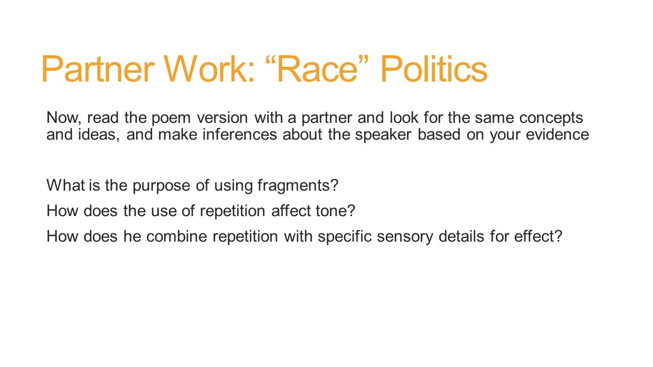 Partner Work: Race Politics