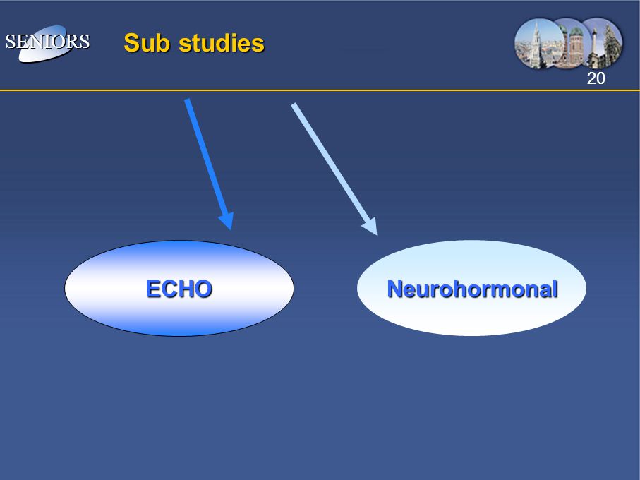 SENIORS Sub studies ECHO Neurohormonal