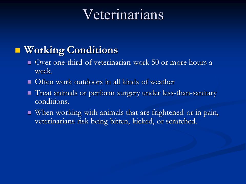 Veterinarians Working Conditions