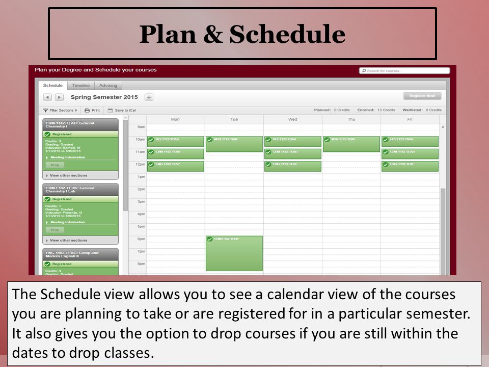 Plan & Schedule