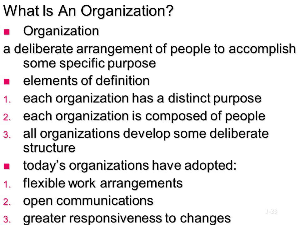 What Is An Organization