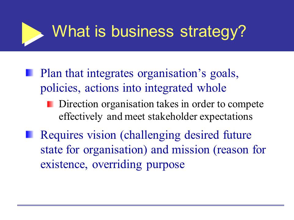 What is business strategy