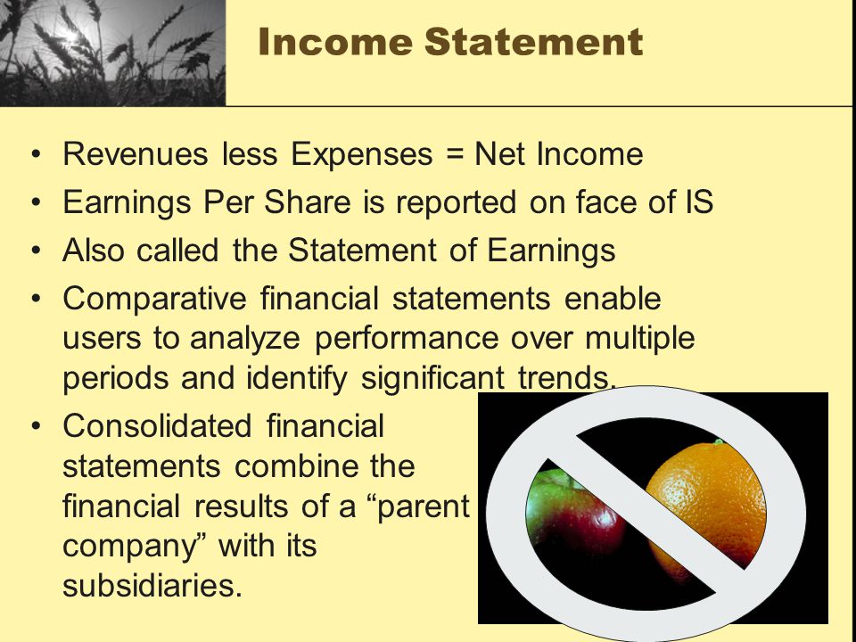Income Statement Revenues less Expenses = Net Income