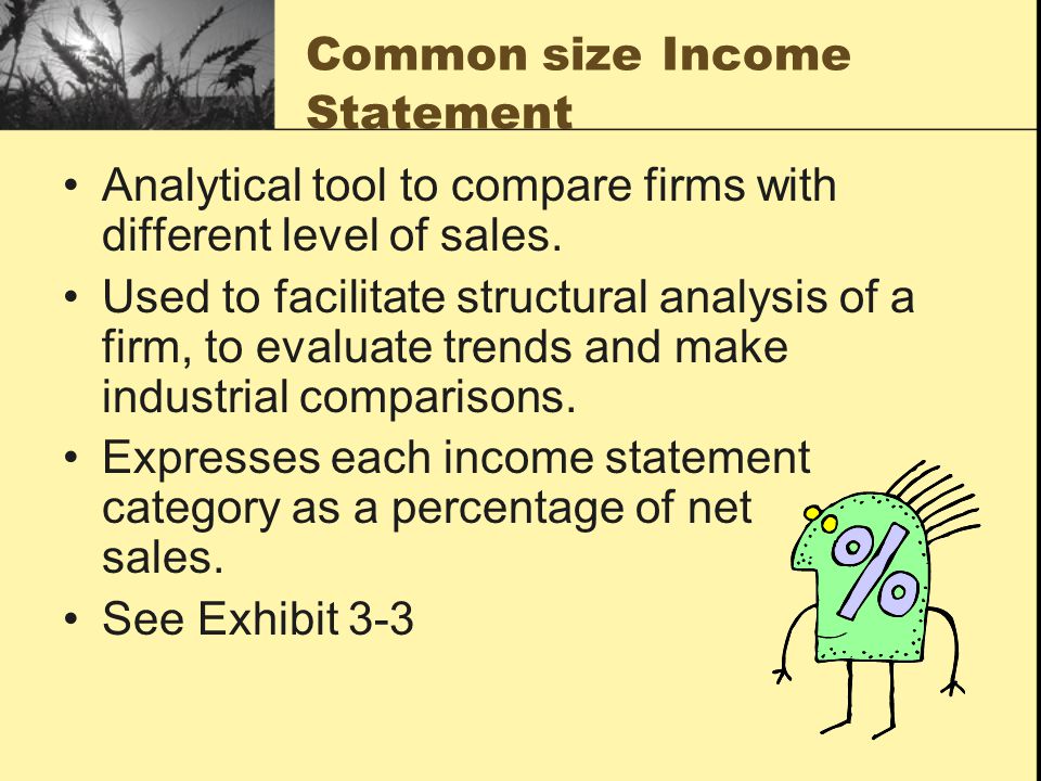 Common size Income Statement
