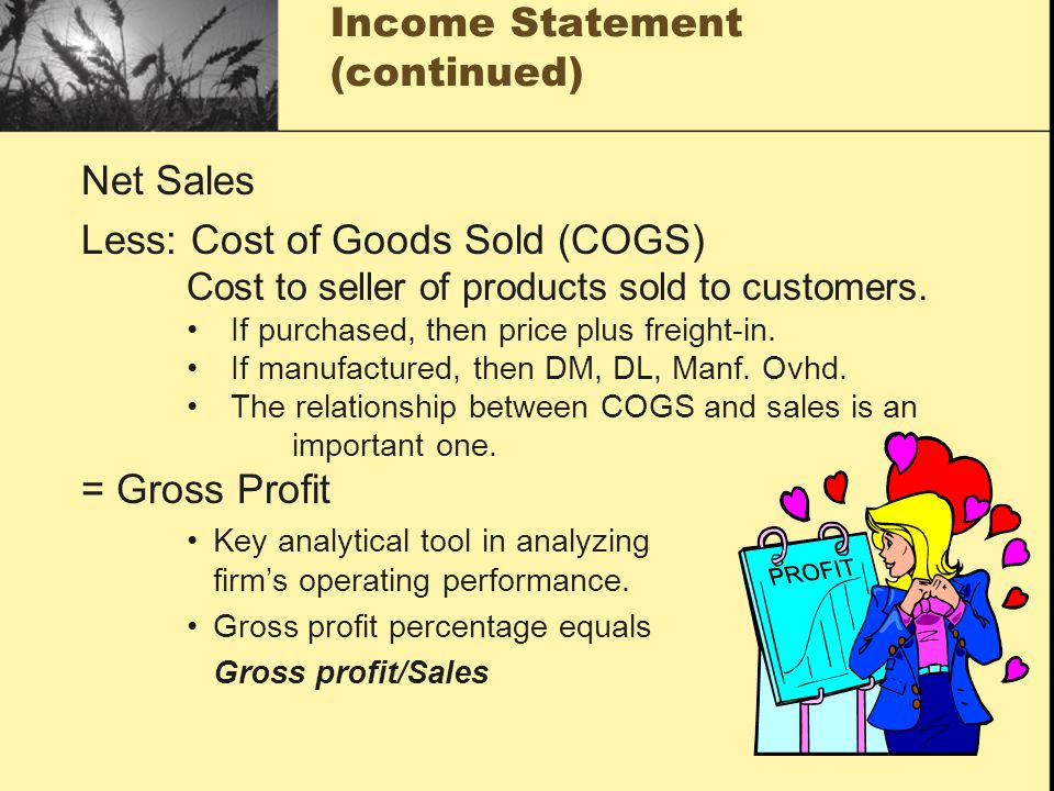 Income Statement (continued)