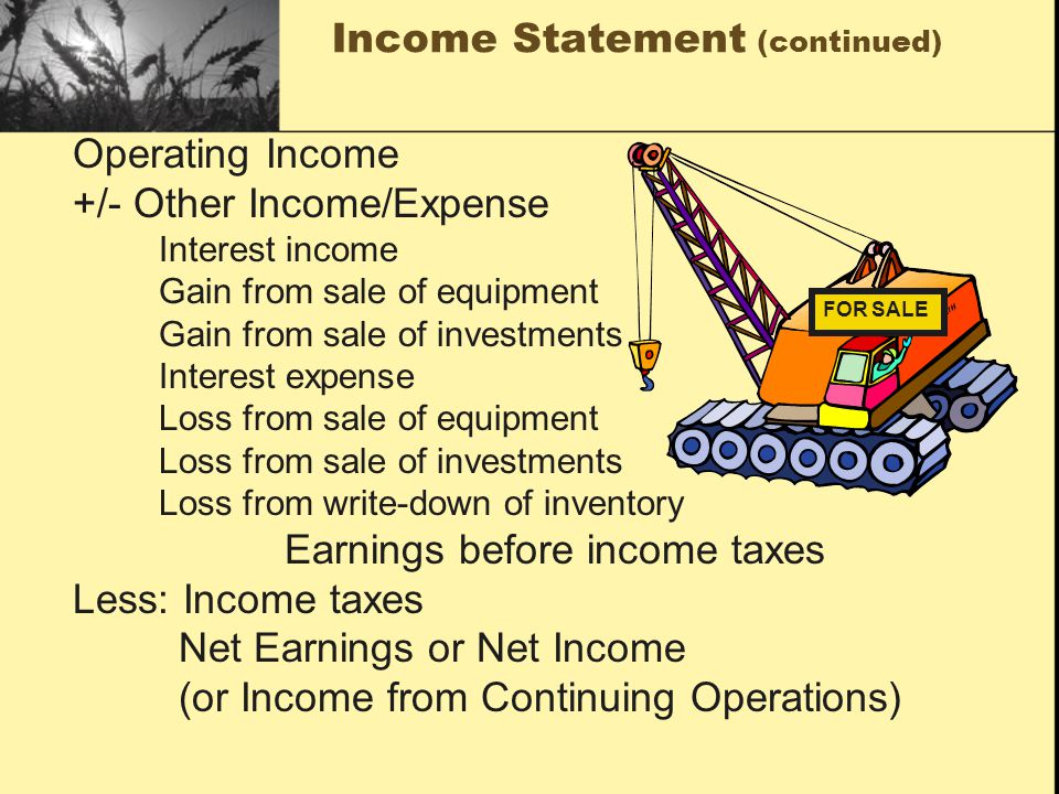 Income Statement (continued)