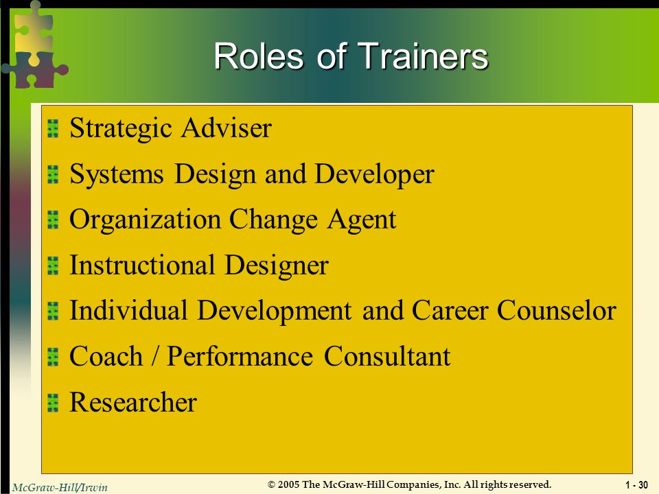 Roles of Trainers Strategic Adviser Systems Design and Developer