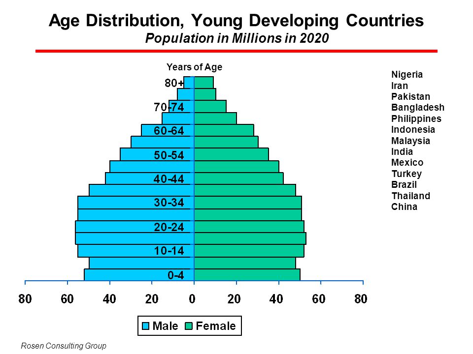 Age Distribution, Young Developing Countries Population in Millions in 2020