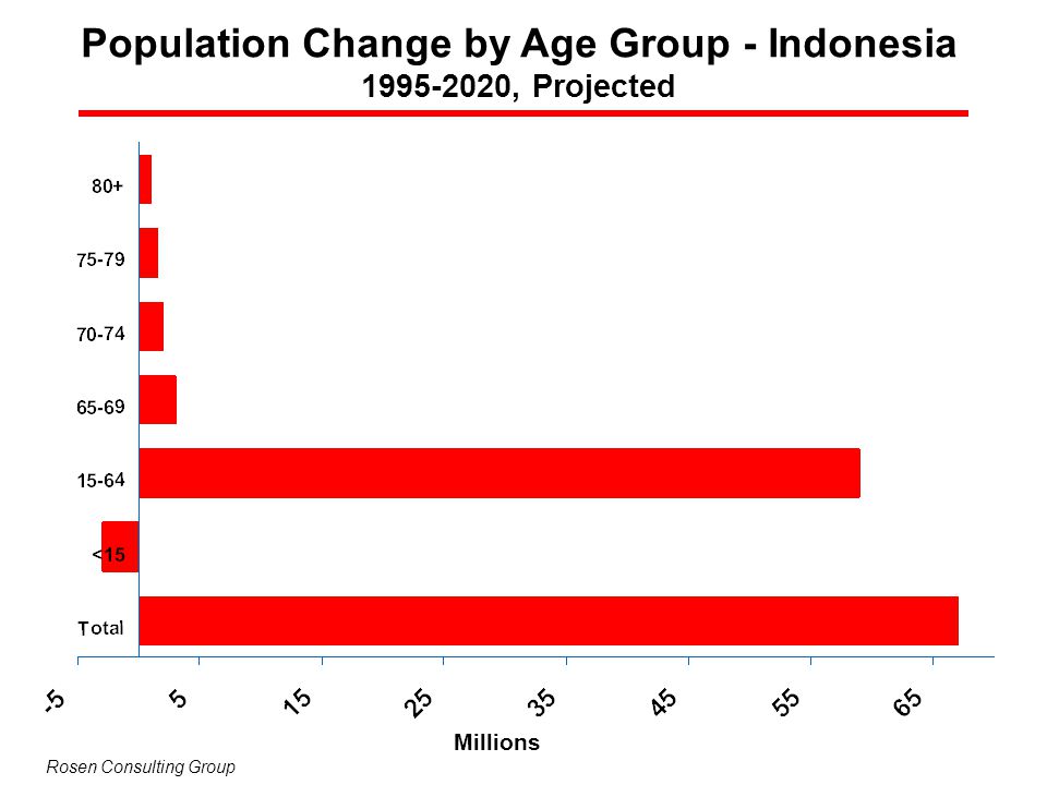 Population Change by Age Group - Indonesia