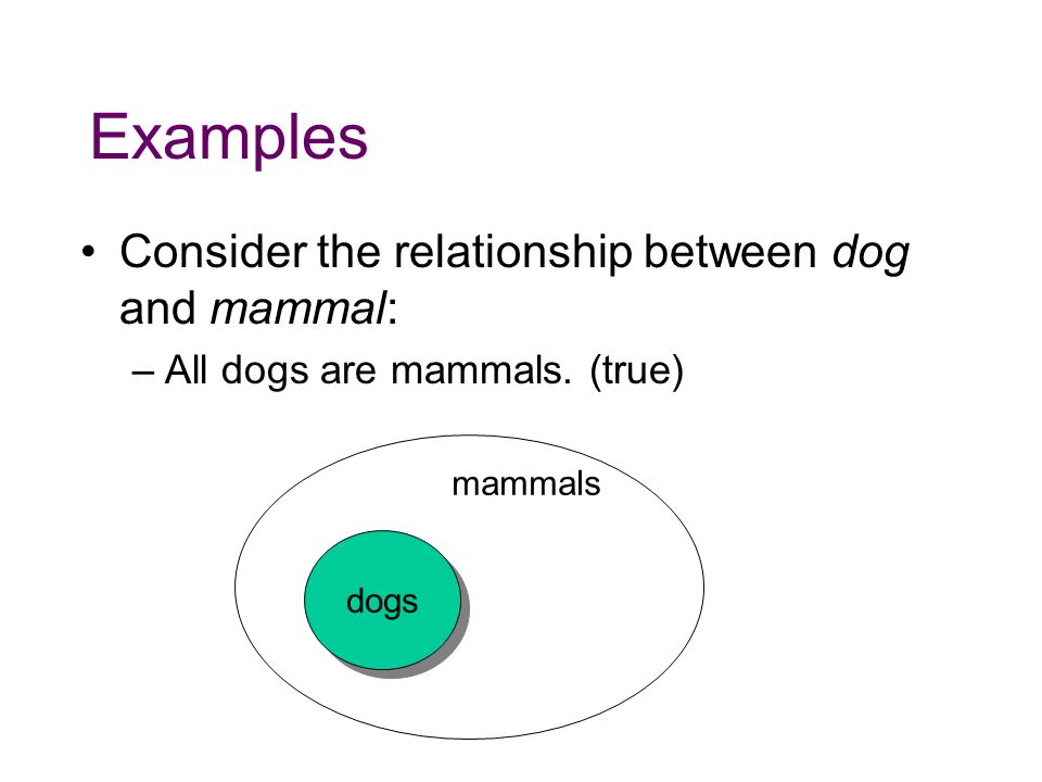 Examples Consider the relationship between dog and mammal: