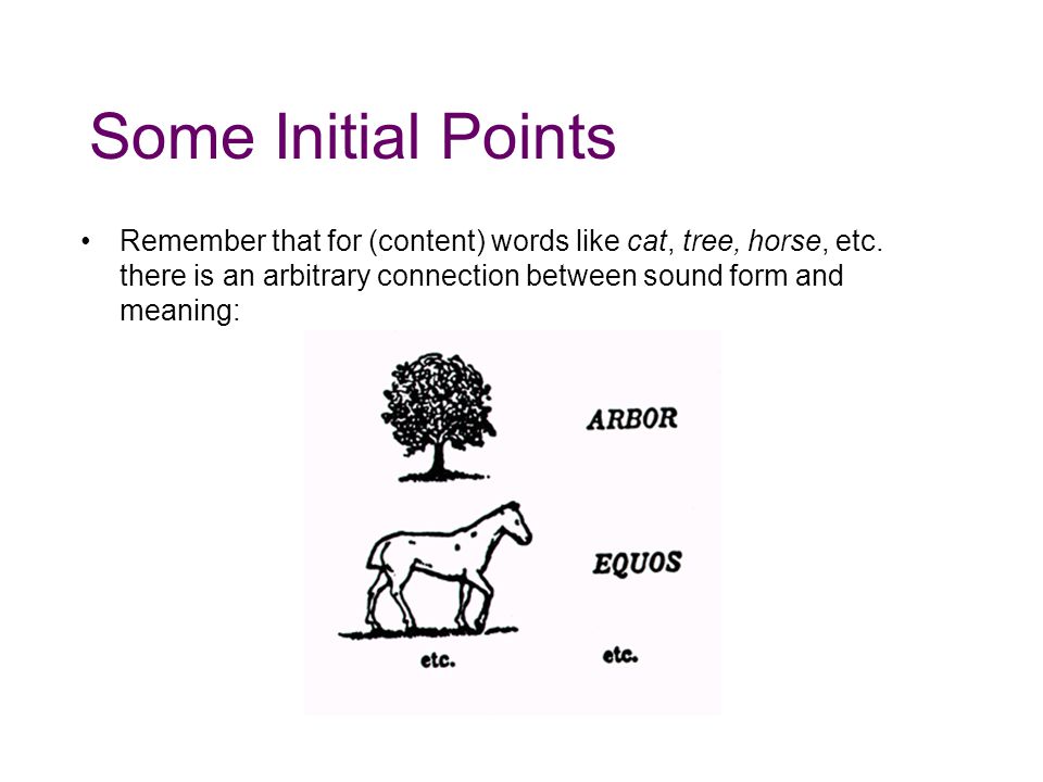 Some Initial Points Remember that for (content) words like cat, tree, horse, etc.
