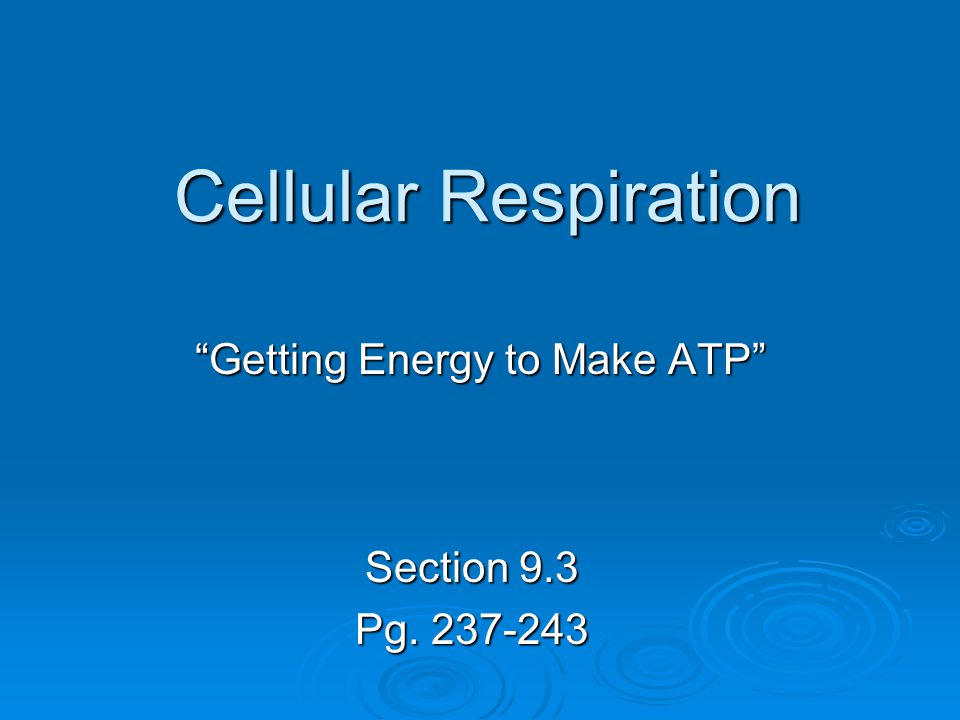 Chapter Intro Page 220 What You Ll Learn You Will Recognize Why Organisms Need A Constant Supply Of Energy And Where That Energy Comes From You Will Ppt Download