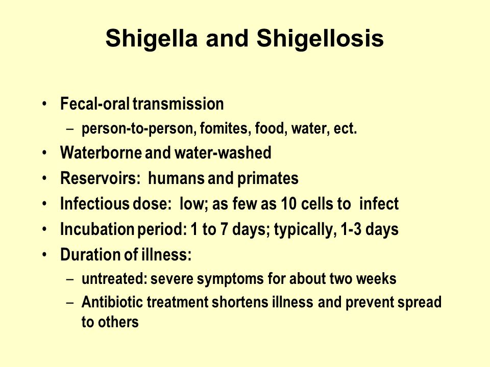 Shigella and Shigellosis