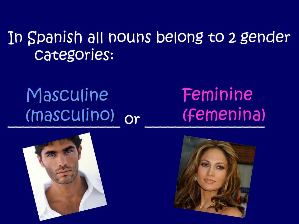 Masculine (masculino) Feminine (femenina)