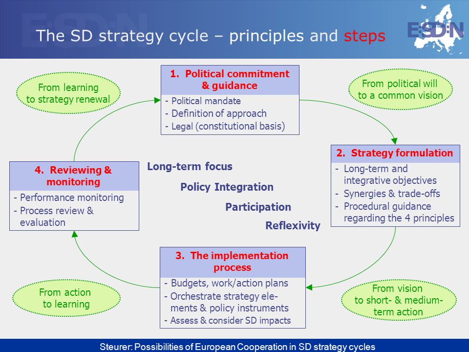 The SD strategy cycle – principles and steps