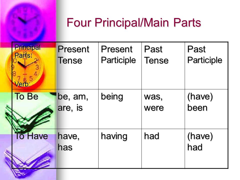 Four Principal/Main Parts