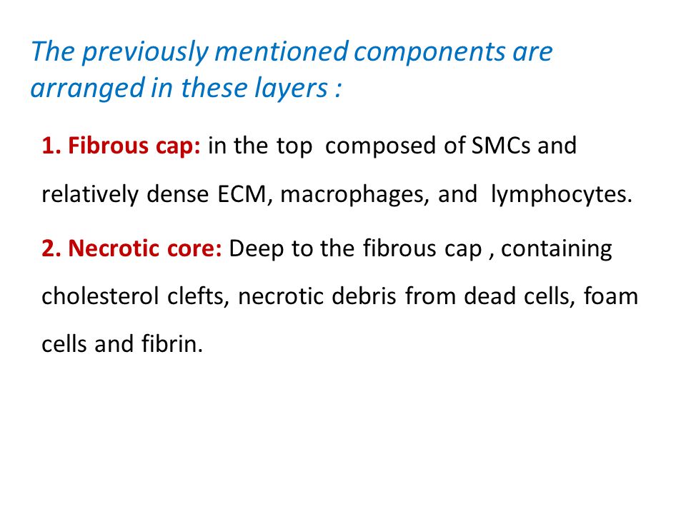 The previously mentioned components are arranged in these layers :
