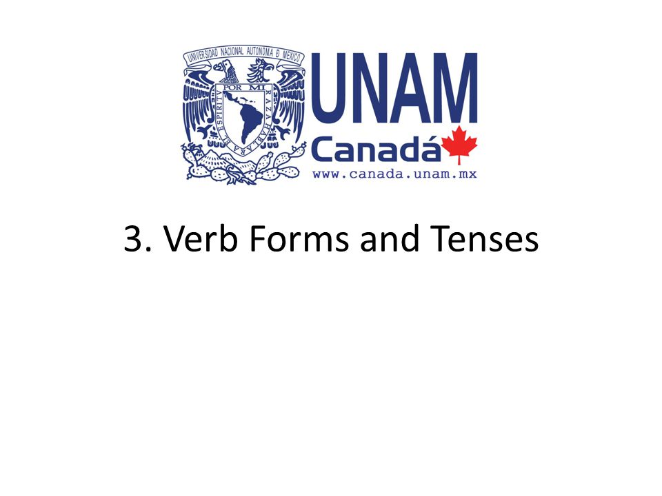 3. Verb Forms and Tenses