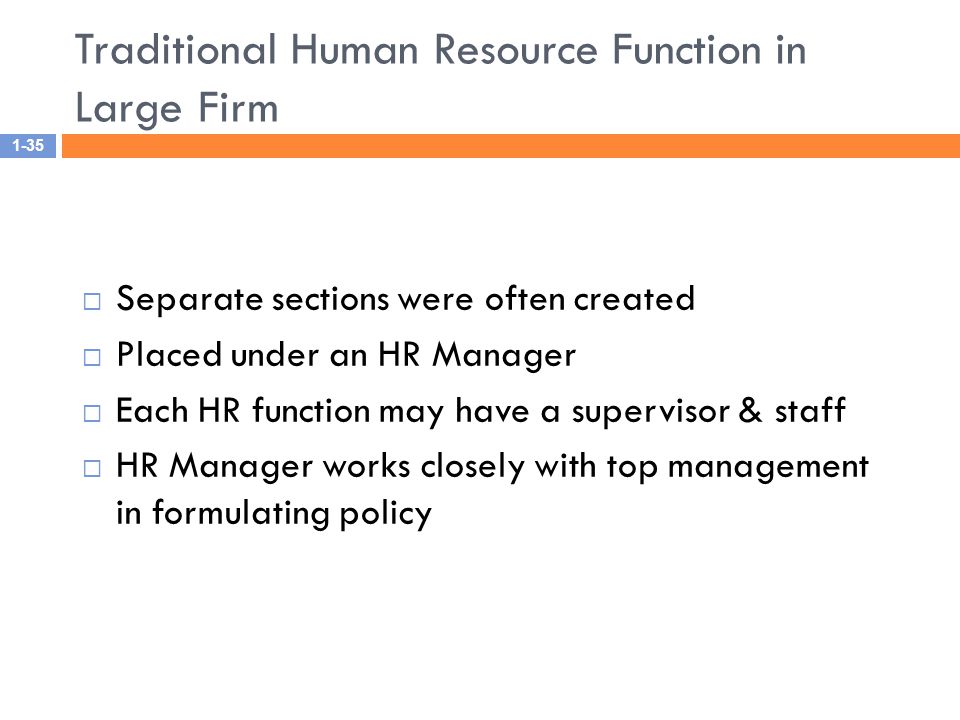 Traditional Human Resource Function in Large Firm
