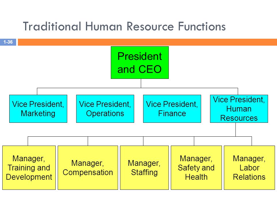 Traditional Human Resource Functions