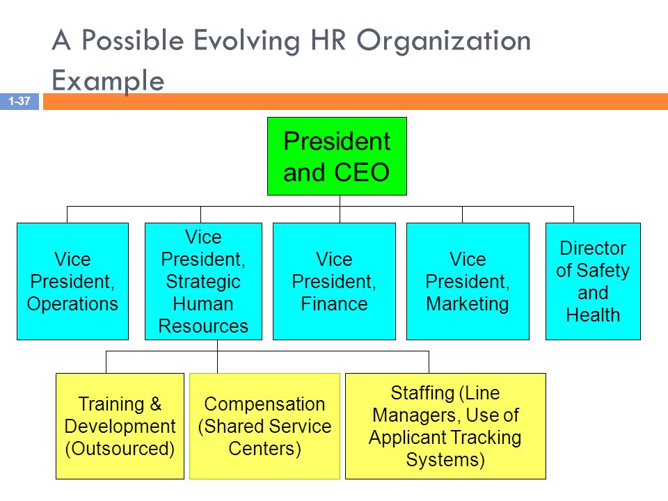 A Possible Evolving HR Organization Example