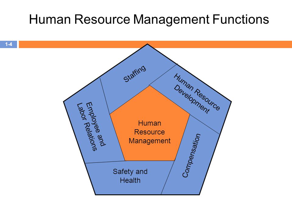 Human Resource Management Functions