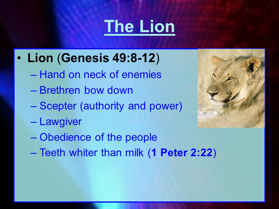 The Lion Lion (Genesis 49:8-12) Hand on neck of enemies