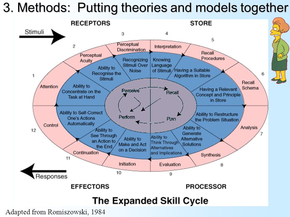 3. Methods: Putting theories and models together