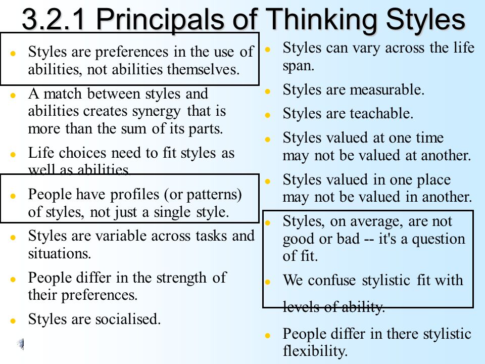 3.2.1 Principals of Thinking Styles