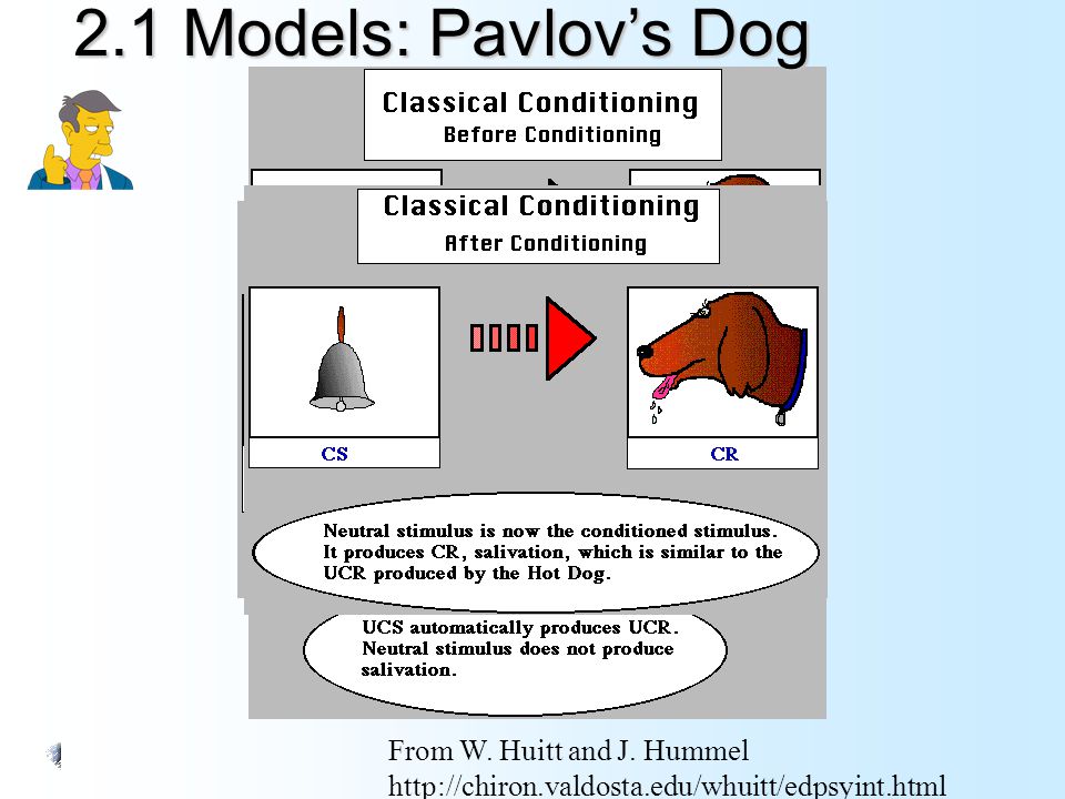 2.1 Models: Pavlov’s Dog From W. Huitt and J.
