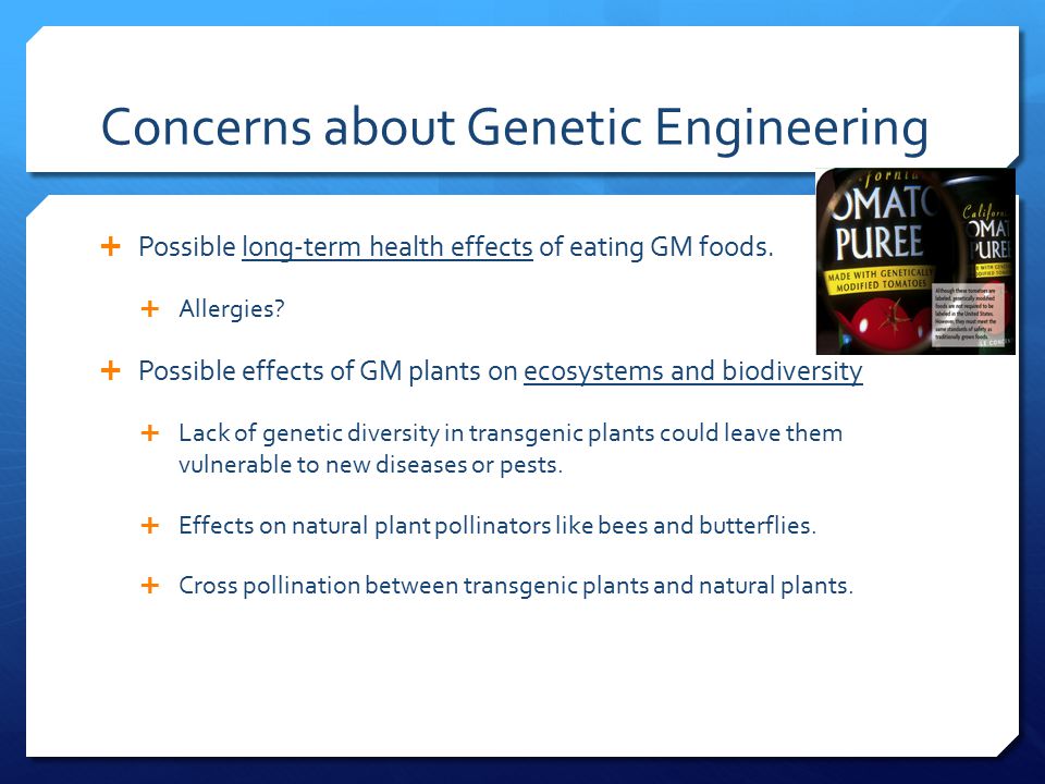 Concerns about Genetic Engineering