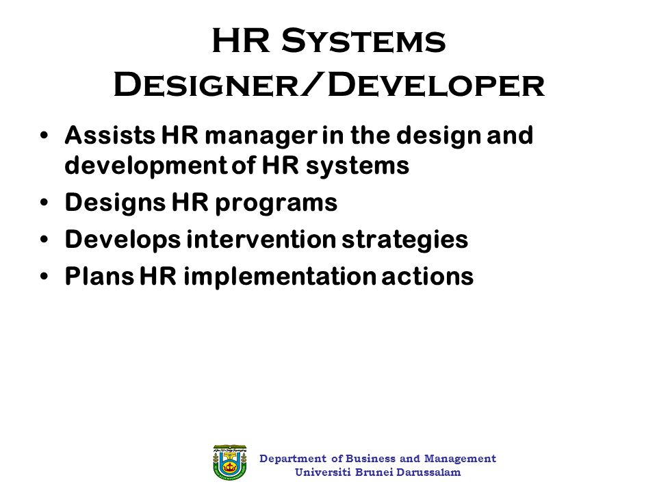 HR Systems Designer/Developer