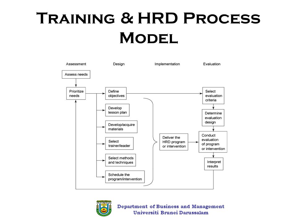Training & HRD Process Model