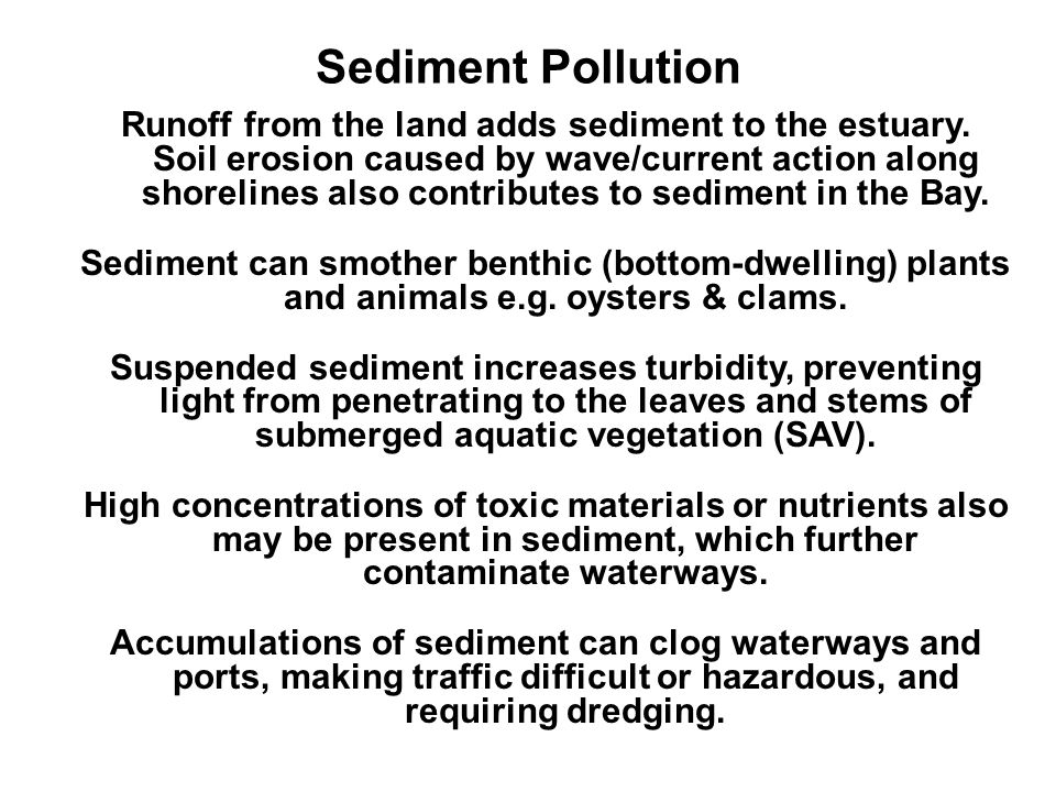 Sediment Pollution