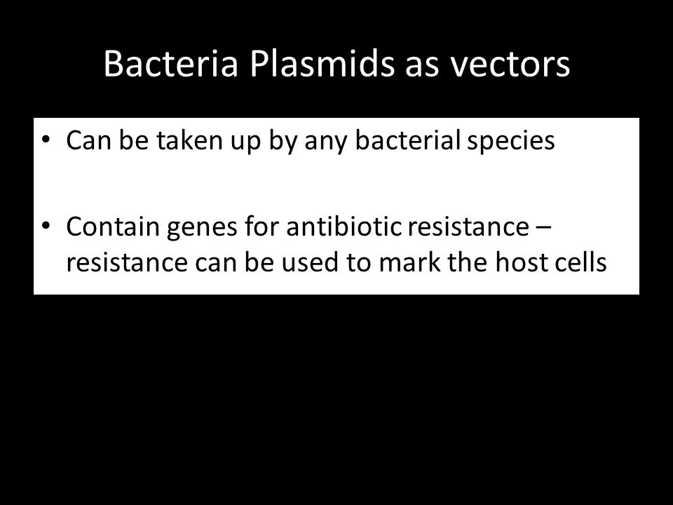 Bacteria Plasmids as vectors
