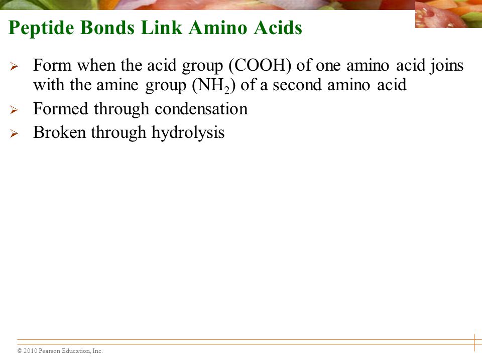 Peptide Bonds Link Amino Acids