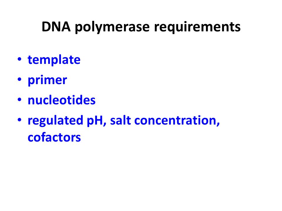 DNA polymerase requirements