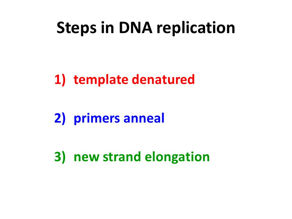 Steps in DNA replication