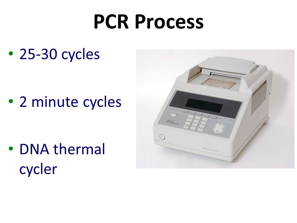 PCR Process cycles 2 minute cycles DNA thermal cycler