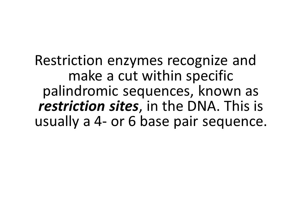 Restriction enzymes recognize and make a cut within specific palindromic sequences, known as restriction sites, in the DNA.