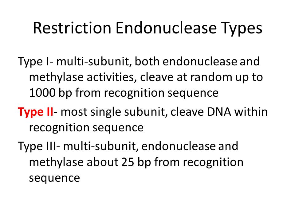 Restriction Endonuclease Types