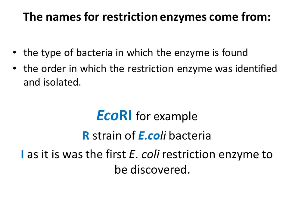 The names for restriction enzymes come from: