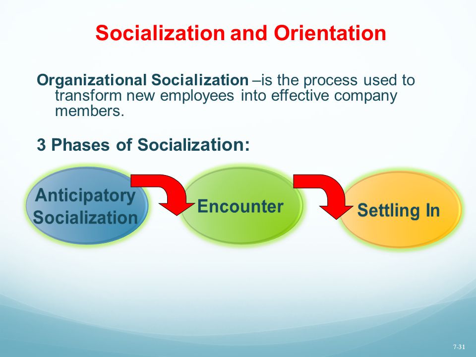 Socialization and Orientation